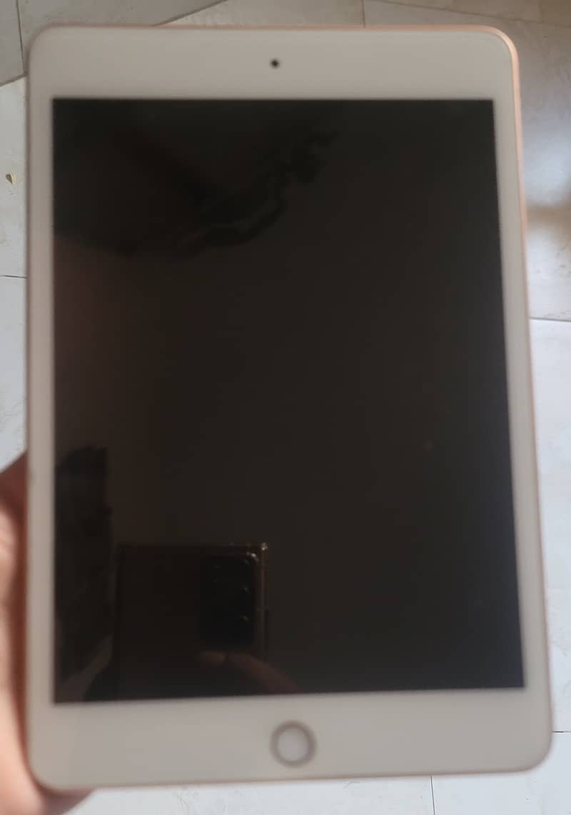 Apple ipad mini 5 1