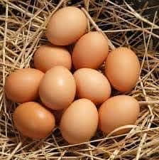 Hen eggs available 1