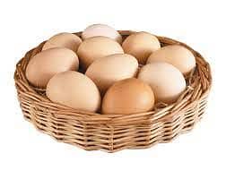 Hen eggs available 2