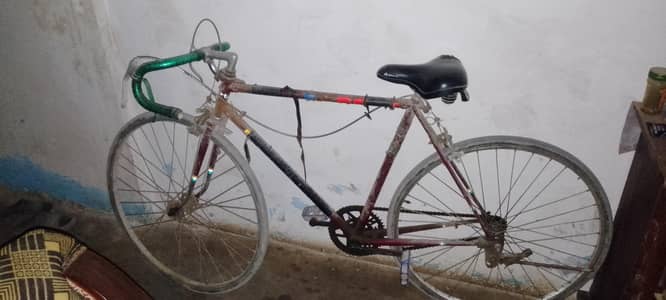 CYCLE SPORTS 27 1/4