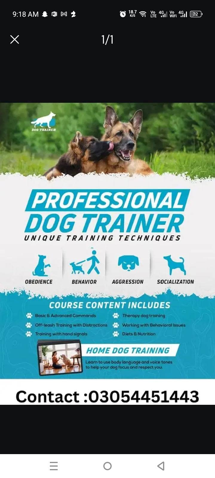 dog trainer 0