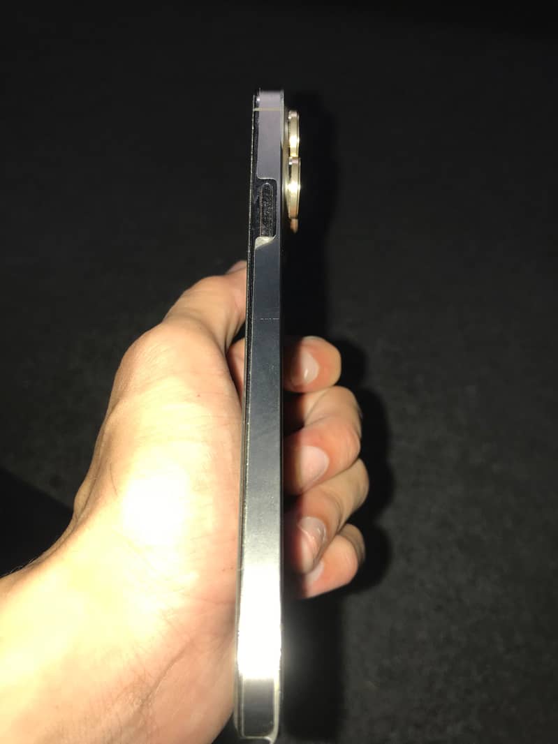 Apple iPhone 13 Pro Max 1