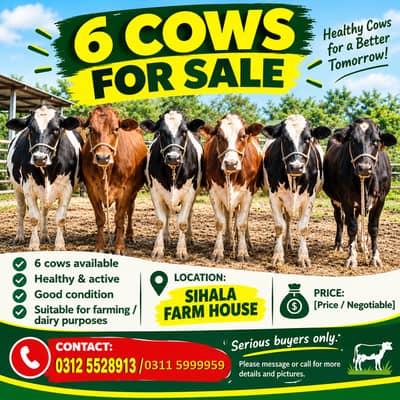 6 COWS FOR SALE
