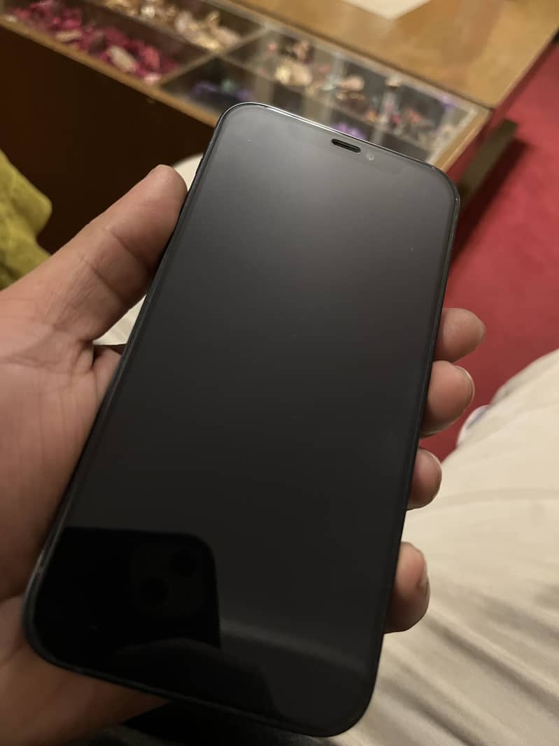 Apple iPhone 12 0
