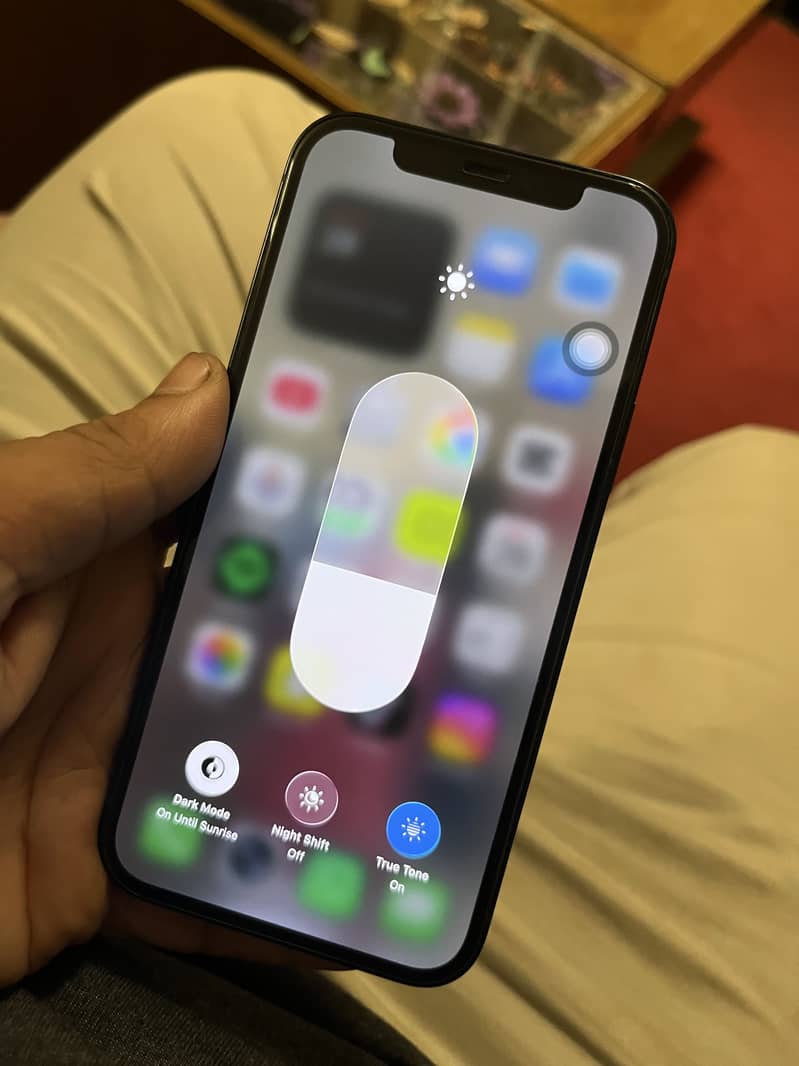 Apple iPhone 12 1