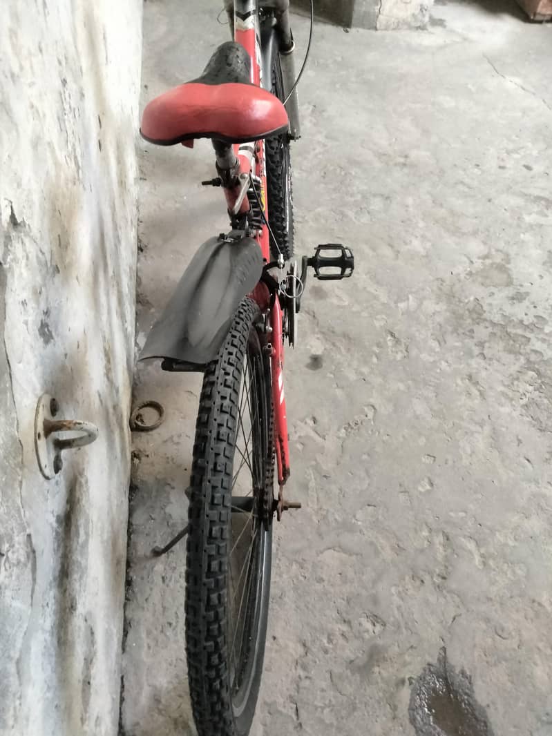 cycle full size 5