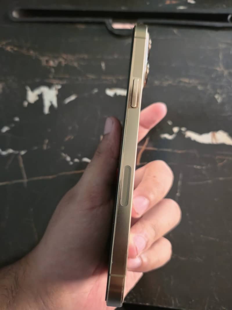 Apple iPhone 13 Pro Max 9