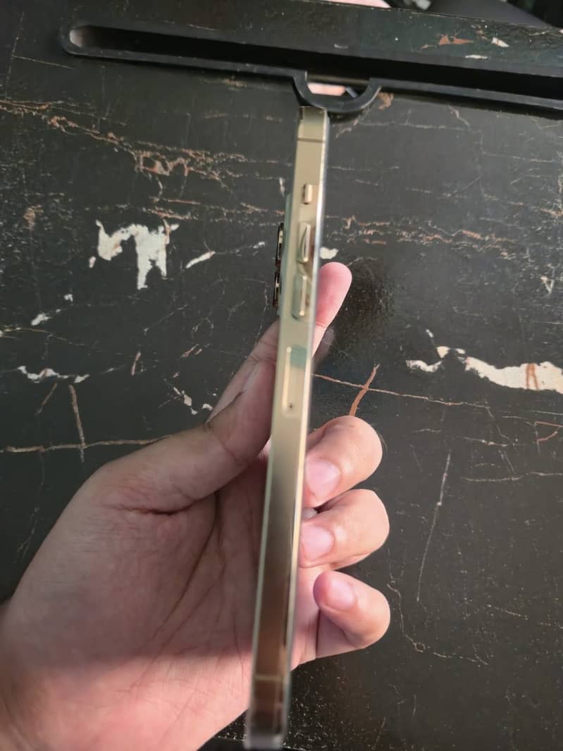 Apple iPhone 13 Pro Max 10