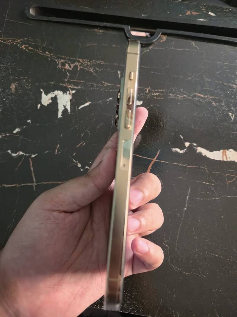 Apple iPhone 13 Pro Max 11
