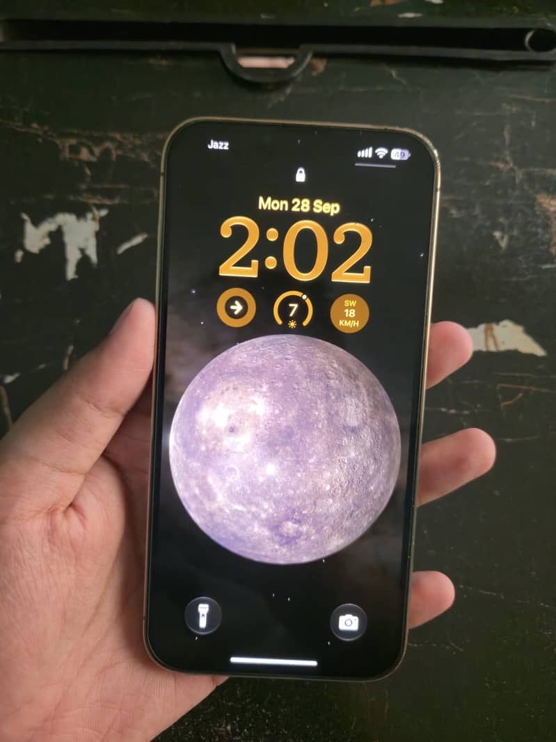 Apple iPhone 13 Pro Max 12