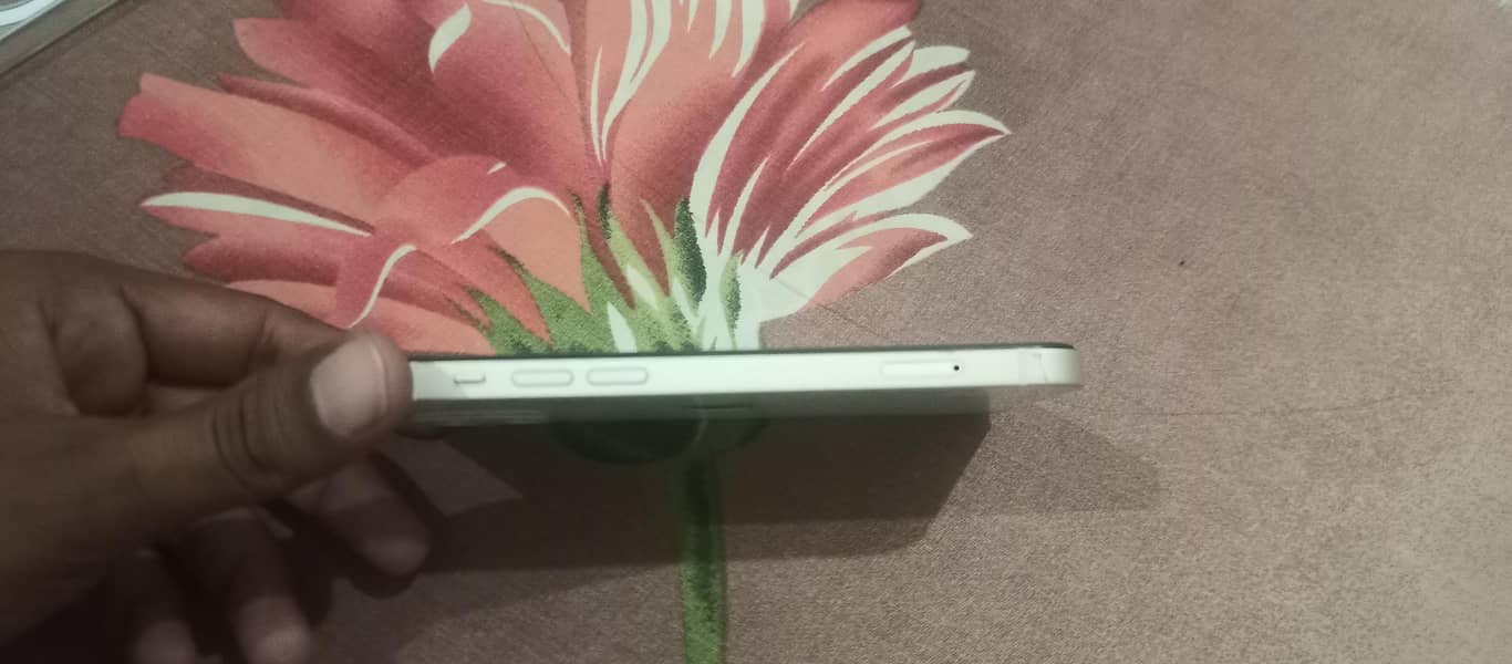 Apple iPhone 12 2