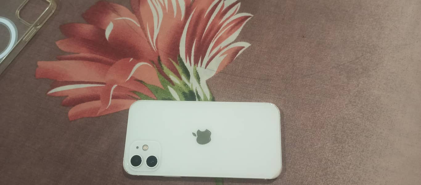 Apple iPhone 12 5