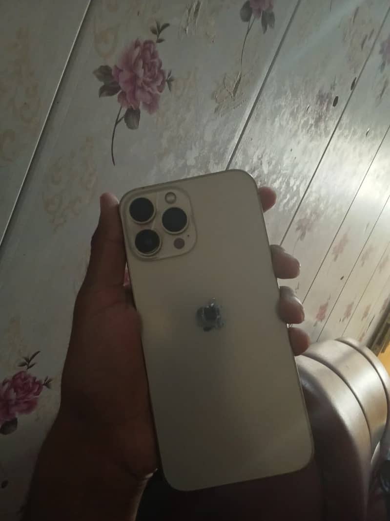 Apple iPhone 13 Pro Max 5