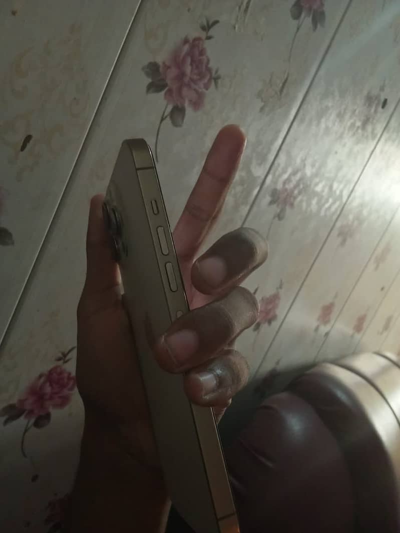 Apple iPhone 13 Pro Max 6