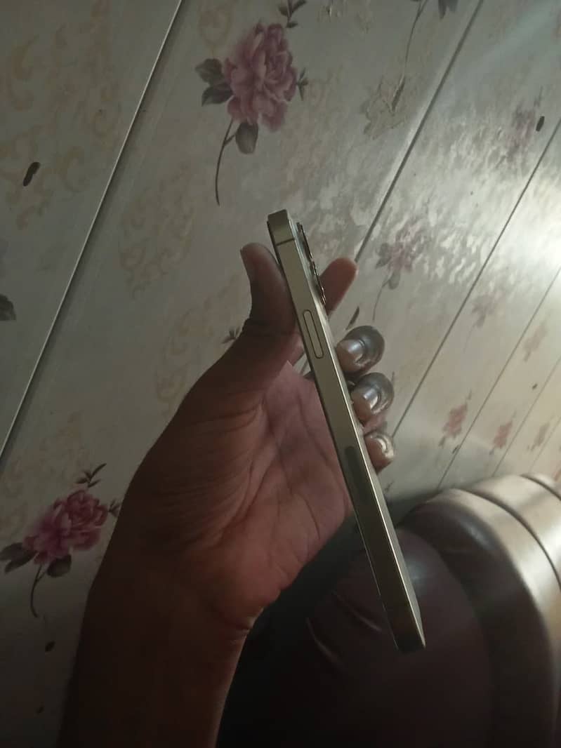 Apple iPhone 13 Pro Max 7