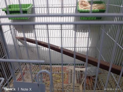 diamond dove h breeding box bhi h argent sale