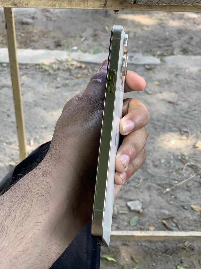Apple iPhone 13 Pro Max 4