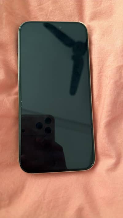 Apple iPhone 16 Pro Max