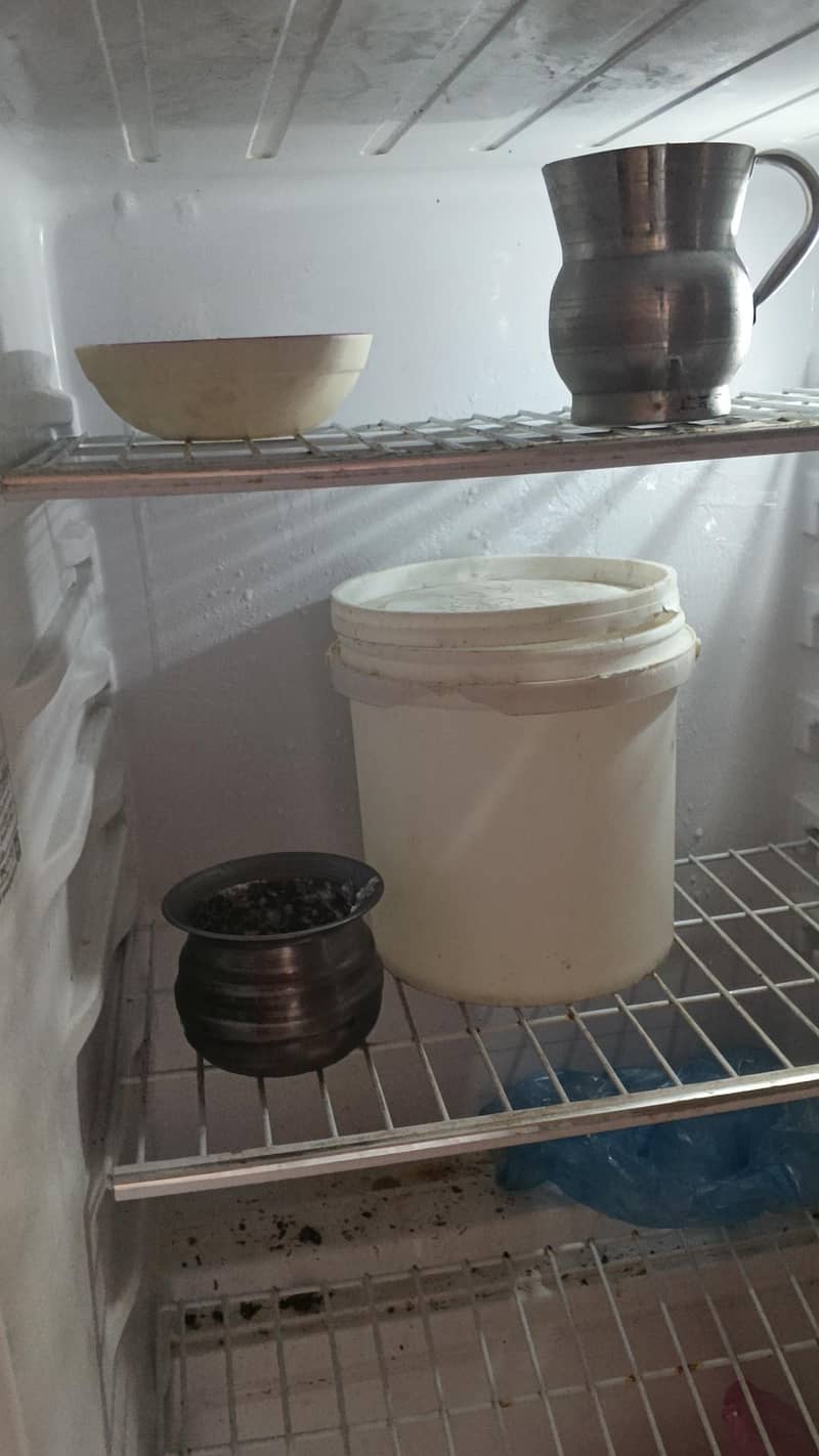 refrigerator 5