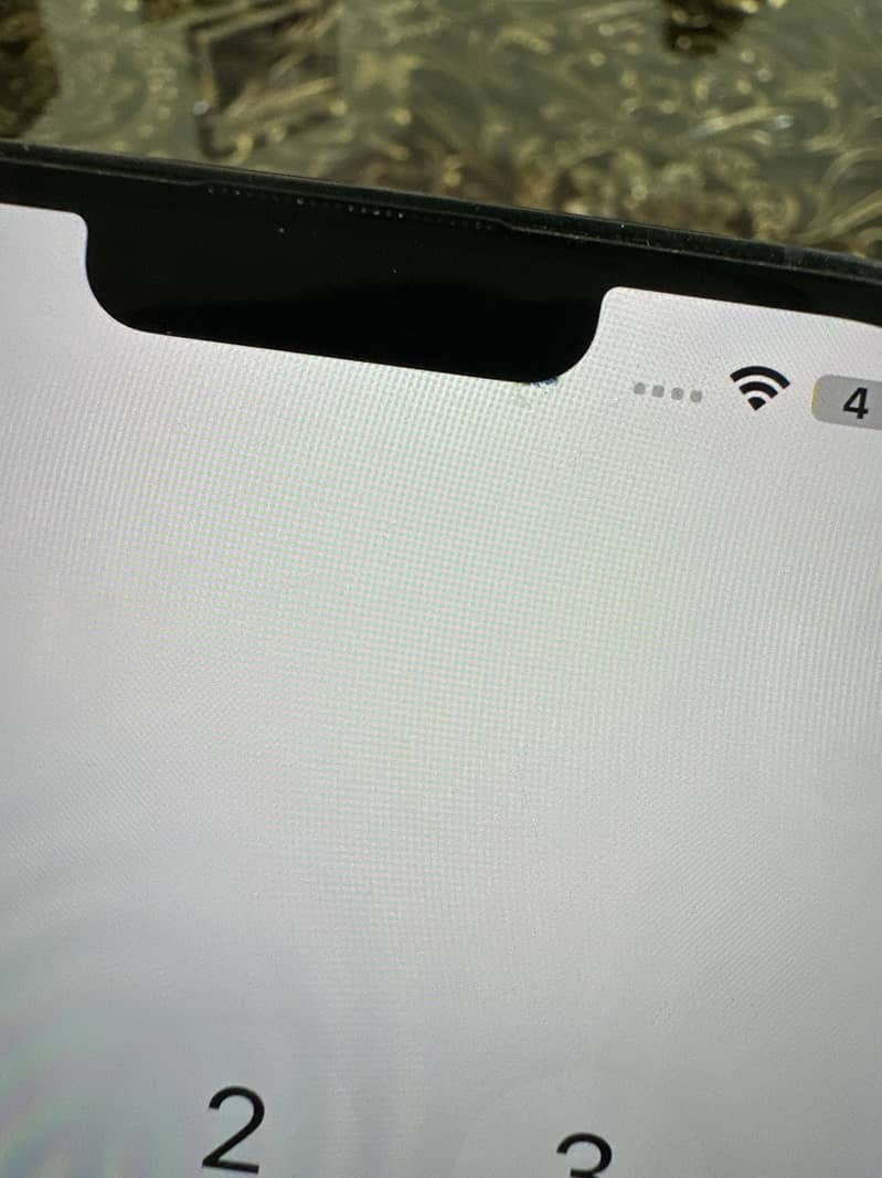 Apple iPhone 13 Pro Max 1
