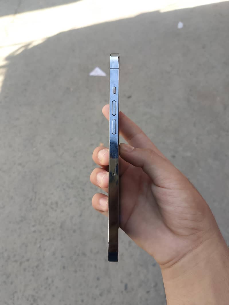 Apple iPhone 12 Pro Max 0