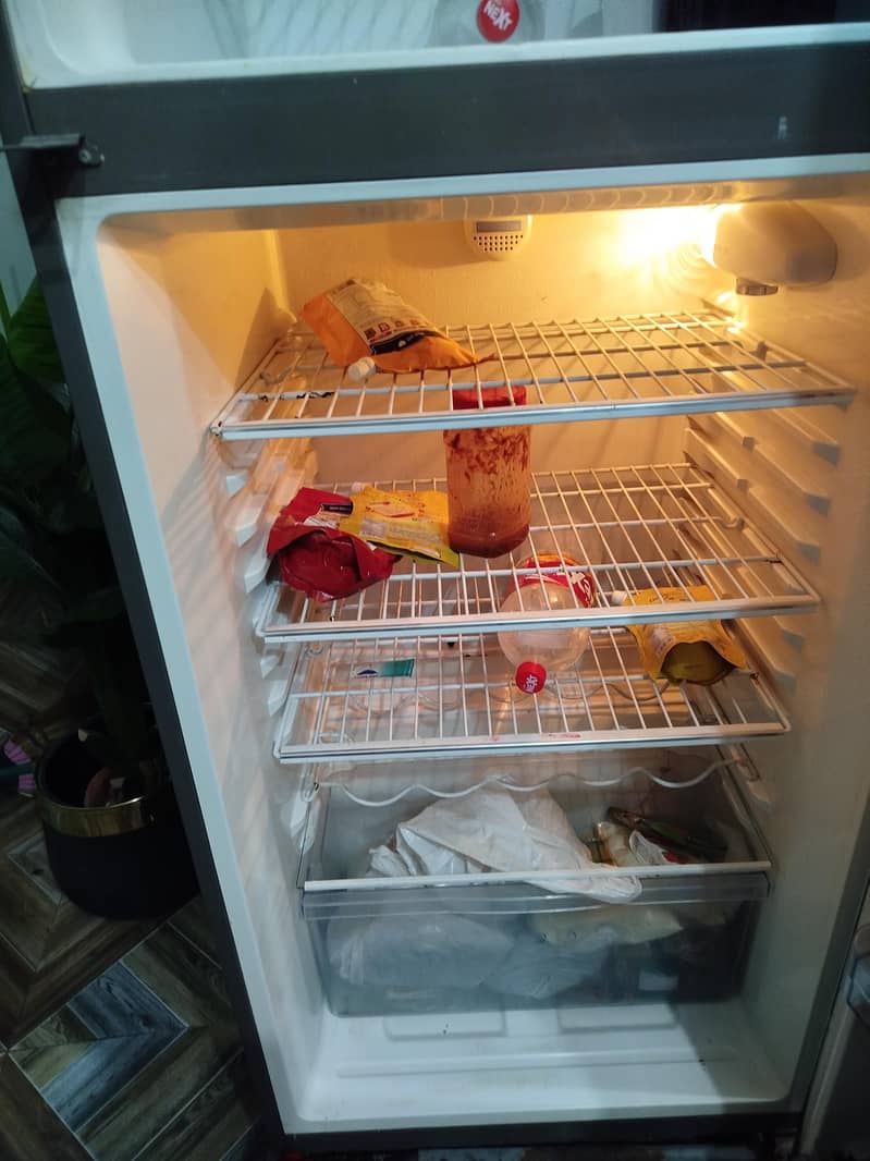 fridge 5