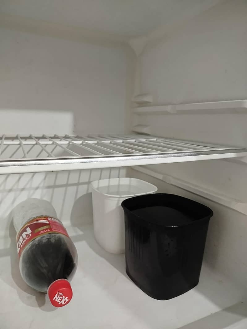 fridge 6