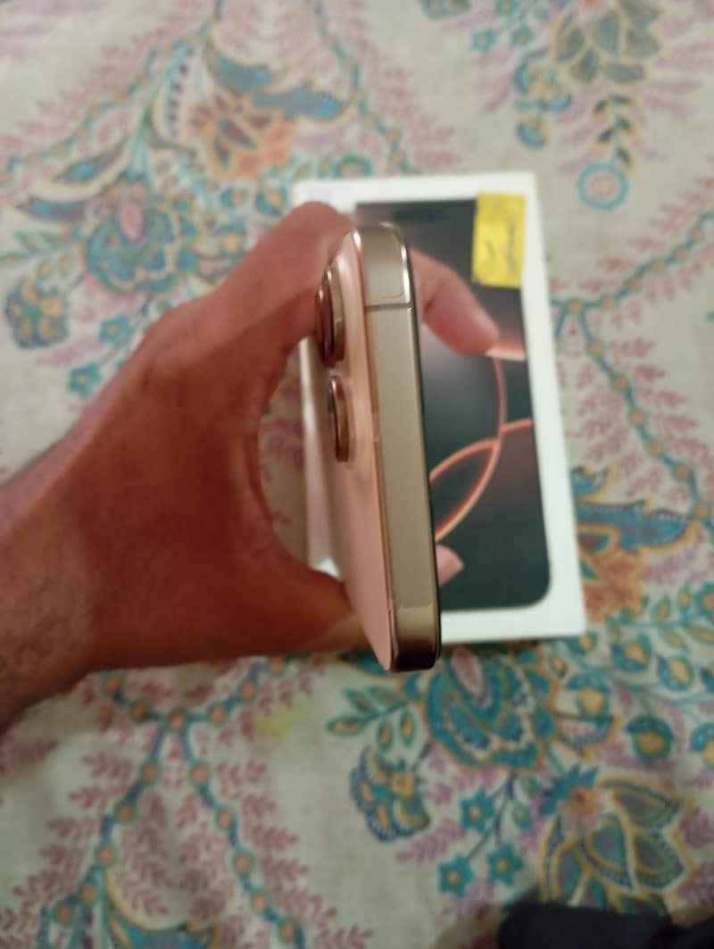 Apple iPhone 16 Pro Max 1