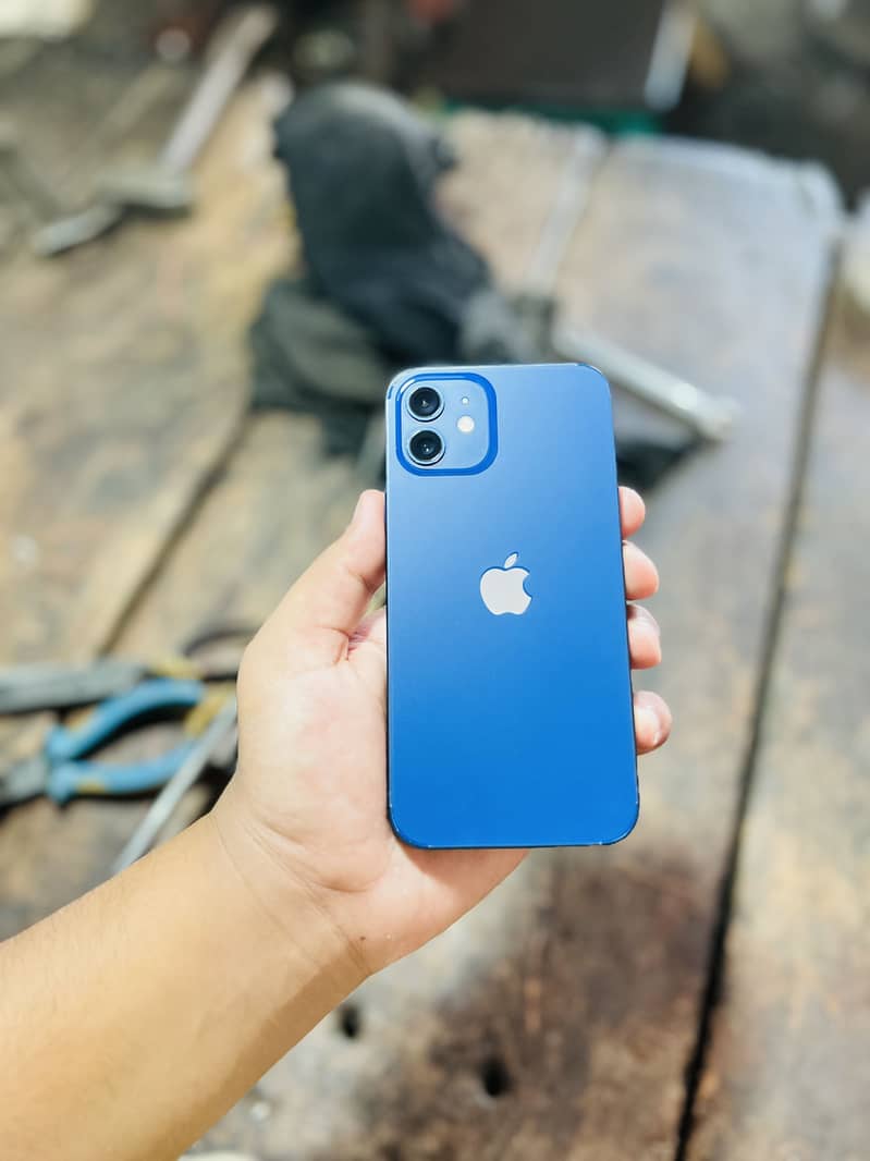Apple iPhone 12 1