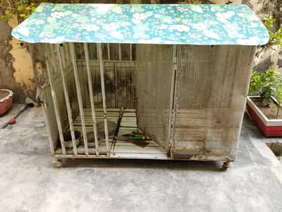 Pet or Birds cage