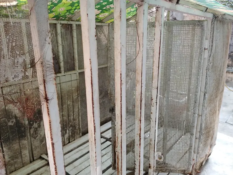 Pet or Birds cage — photo 5