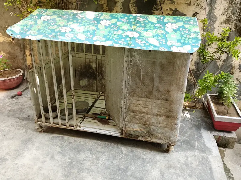 Pet or Birds cage — photo 6