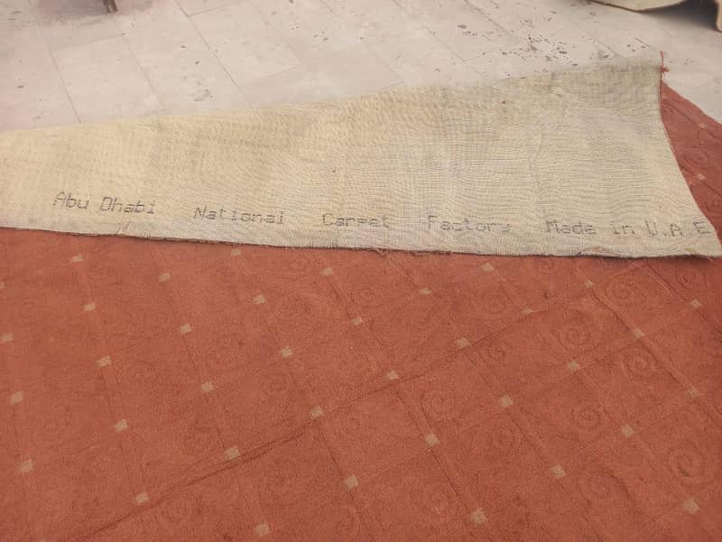 carpet 6