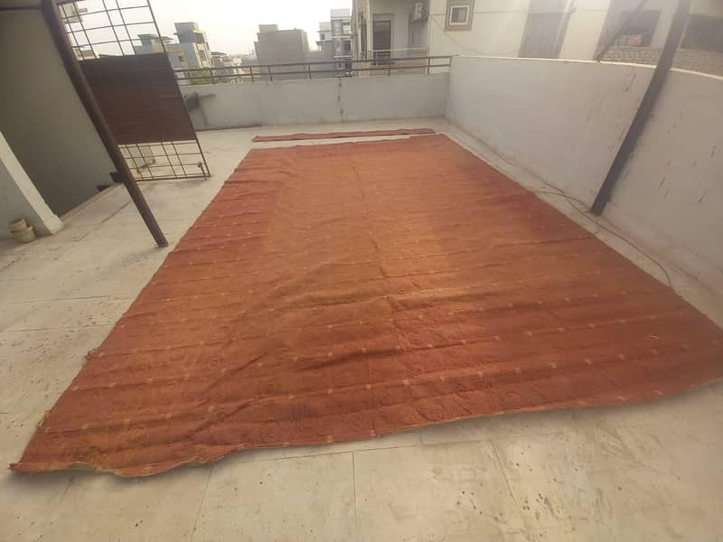 carpet 7