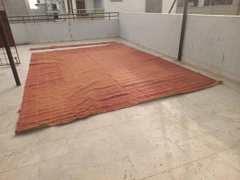 carpet 8