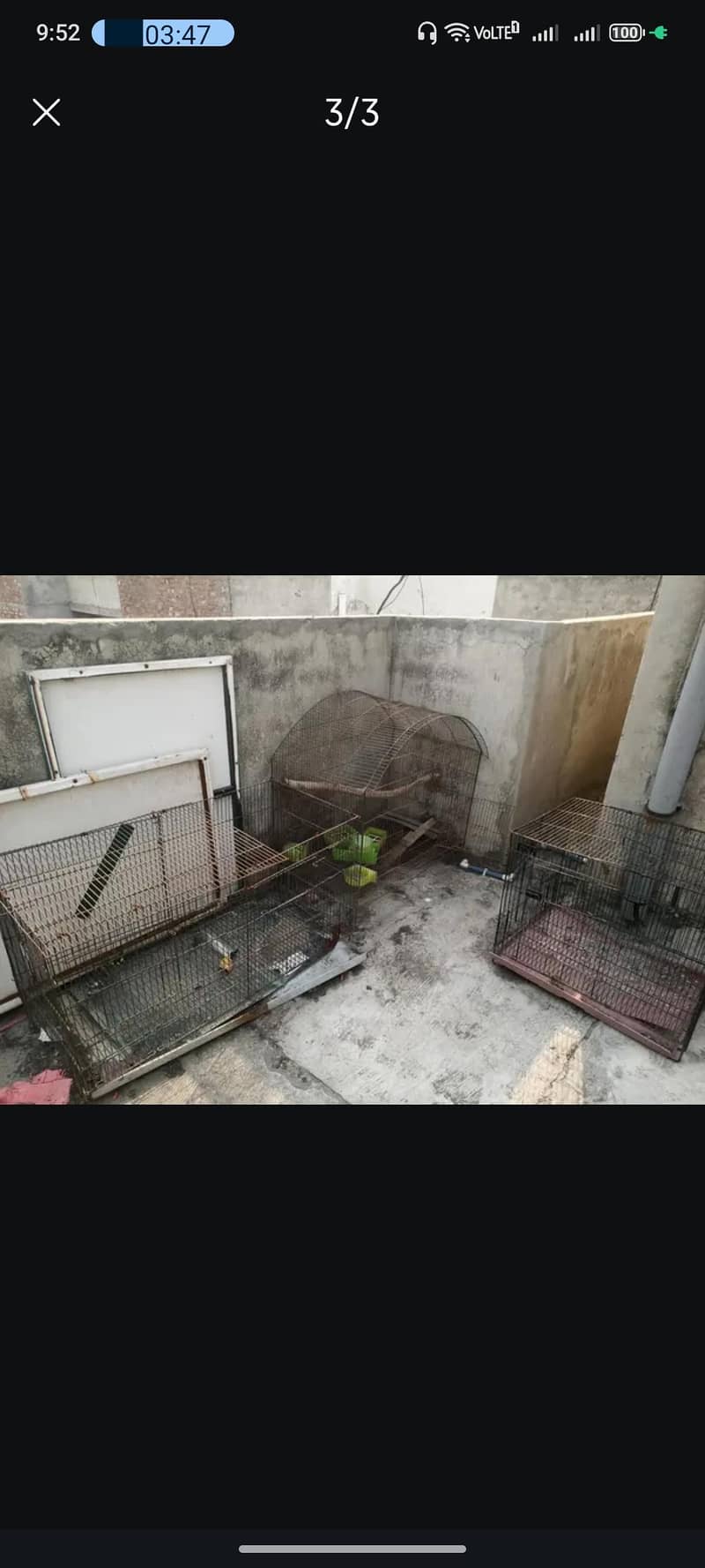 Cages 1