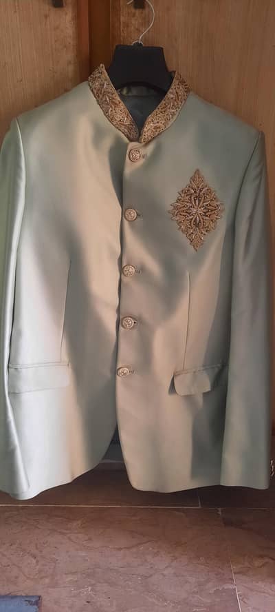 Prince coat c green colour