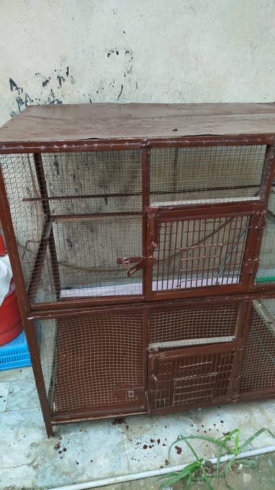 hen cage