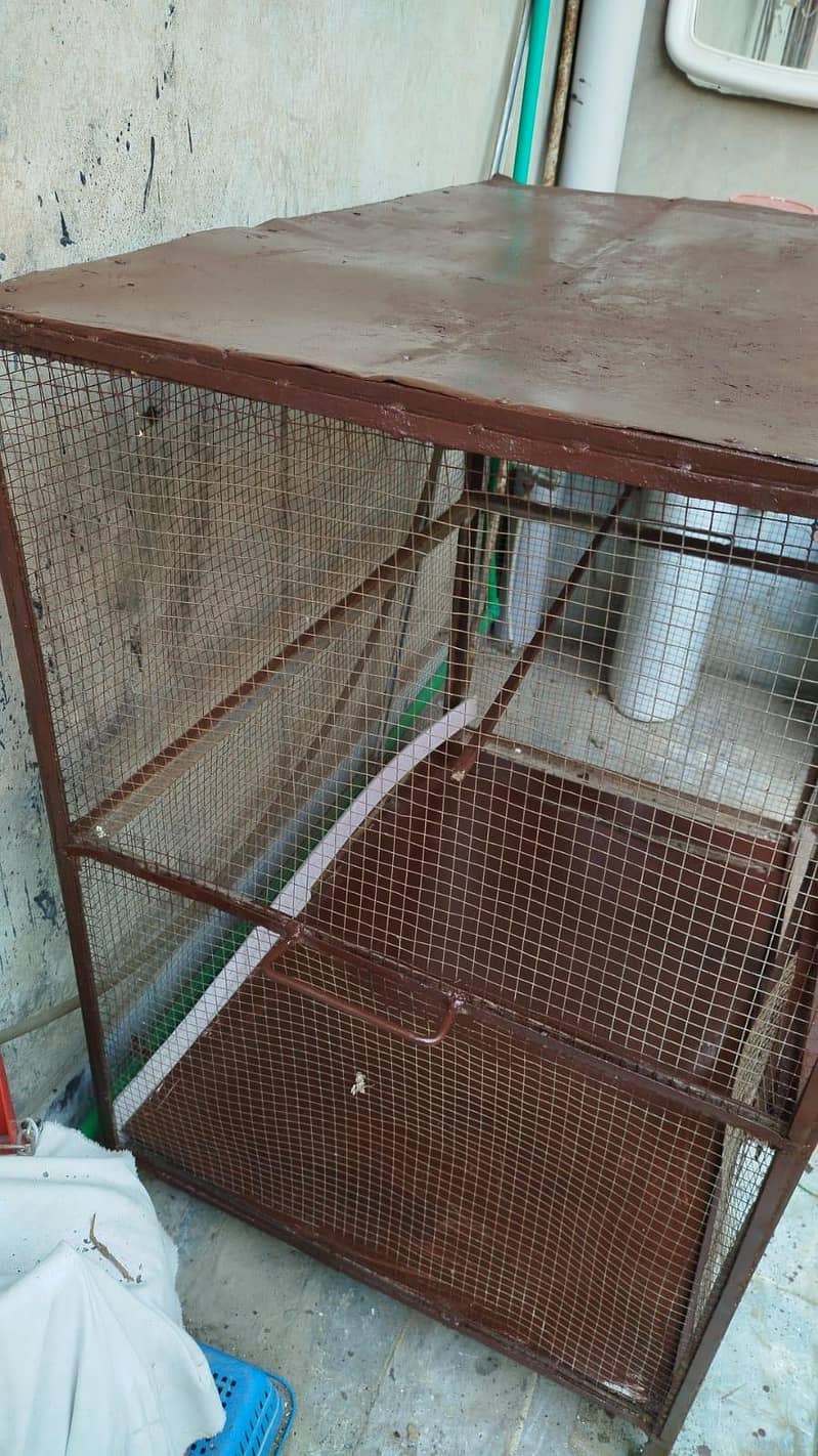 hen cage 1