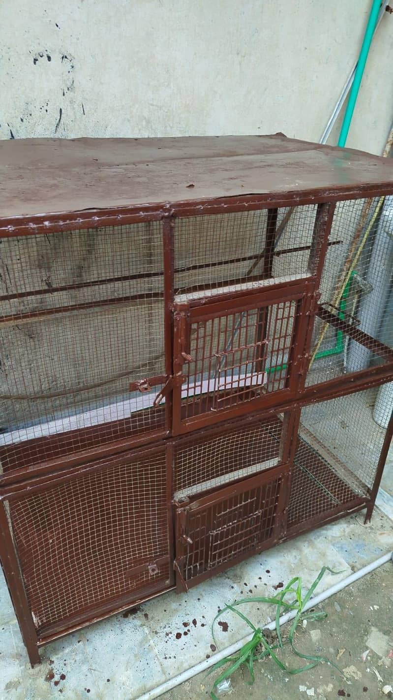 hen cage 2