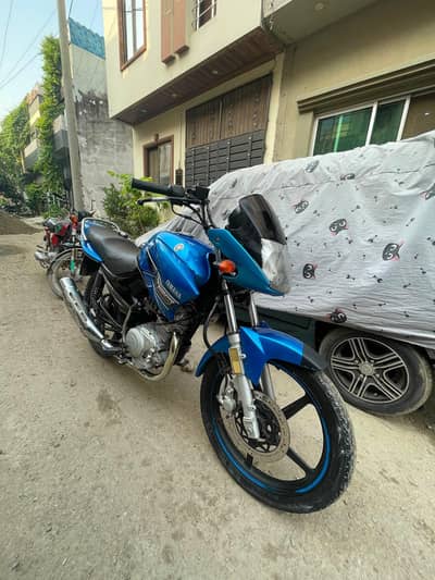 YAMAHA  YBR  *2015*_model 03070949764