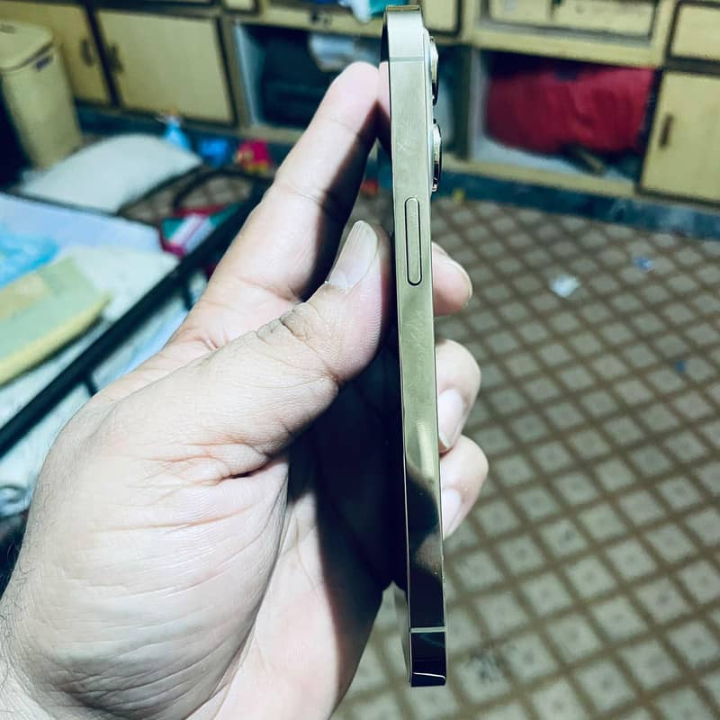 Apple iPhone 13 Pro 2