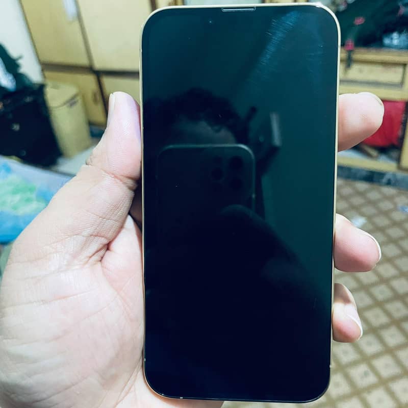 Apple iPhone 13 Pro 6