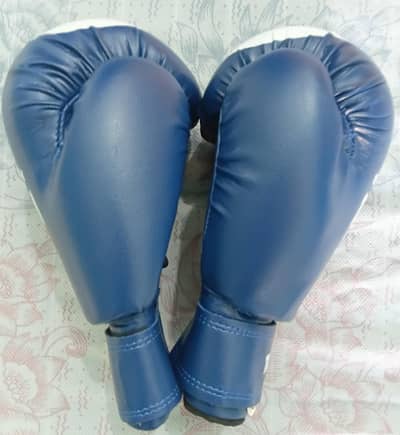 boxing gloves and punching bag Brand new