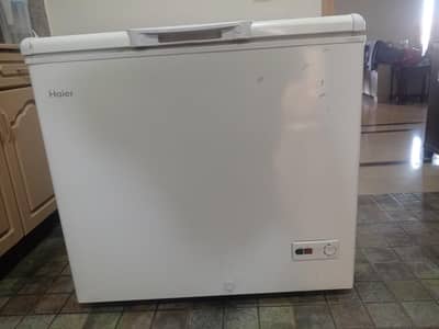 Haier 1door freezer