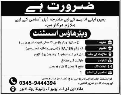 Warehouse Assistant