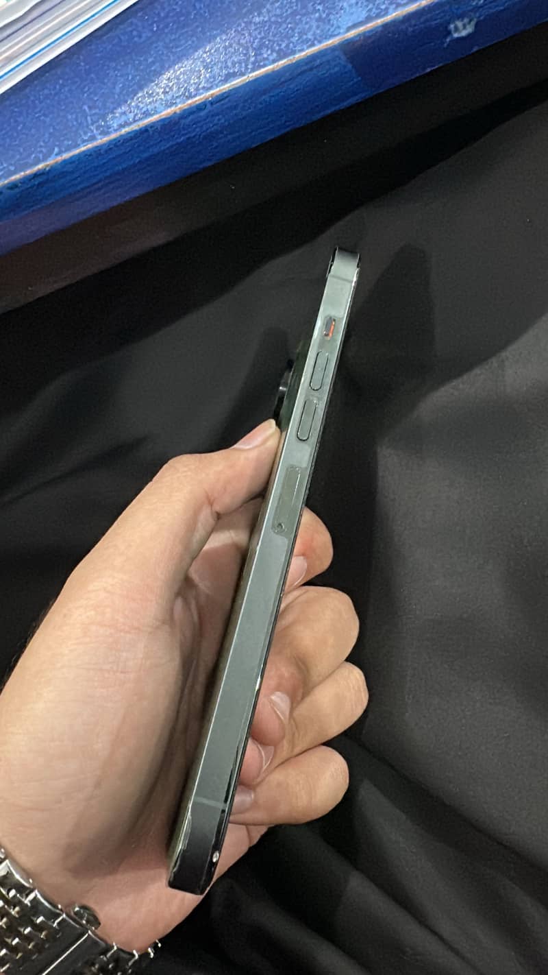 Apple iPhone 13 Pro Max 1