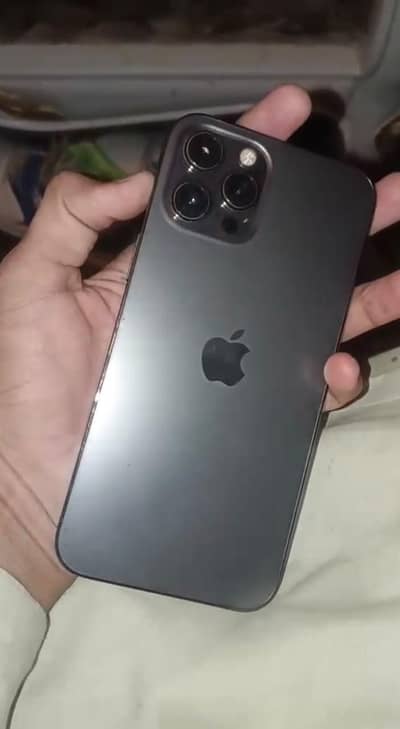 Apple iPhone 12 Pro Max