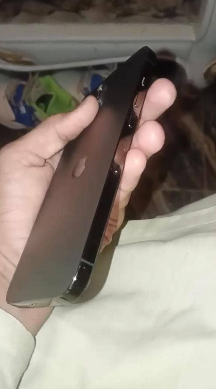 Apple iPhone 12 Pro Max 2