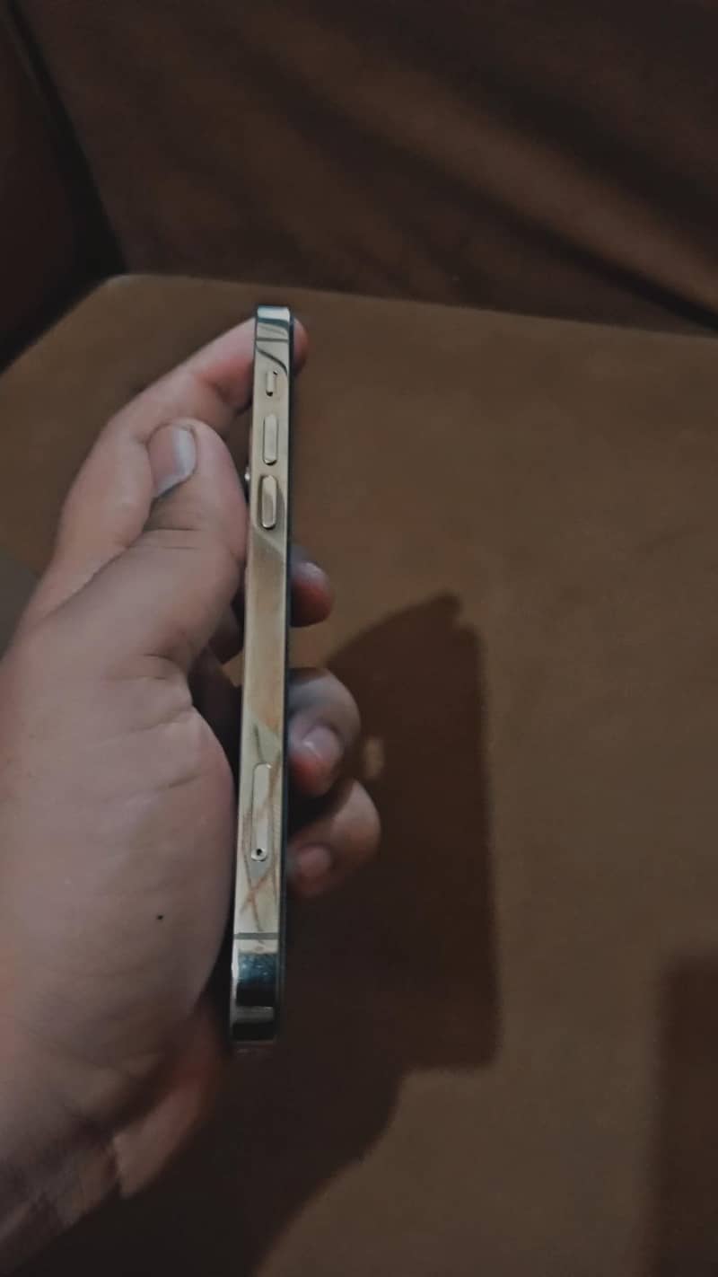 Apple iPhone 12 Pro 2